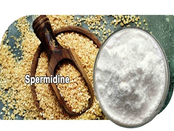 Is Spermidine Safe？